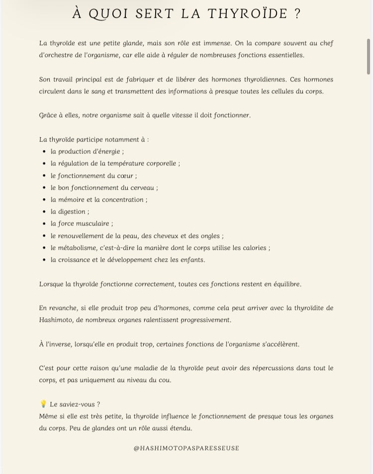 1. Comprendre Hashimoto